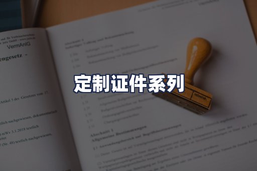 定制证件系列